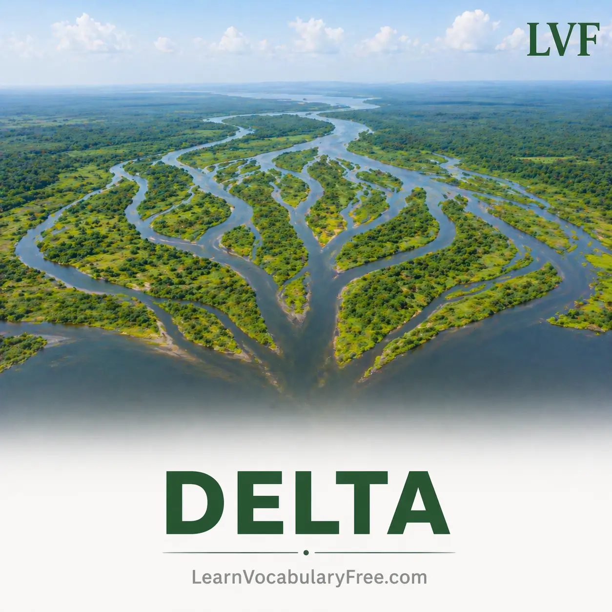 River delta formation showing geography vocabulary for English learners