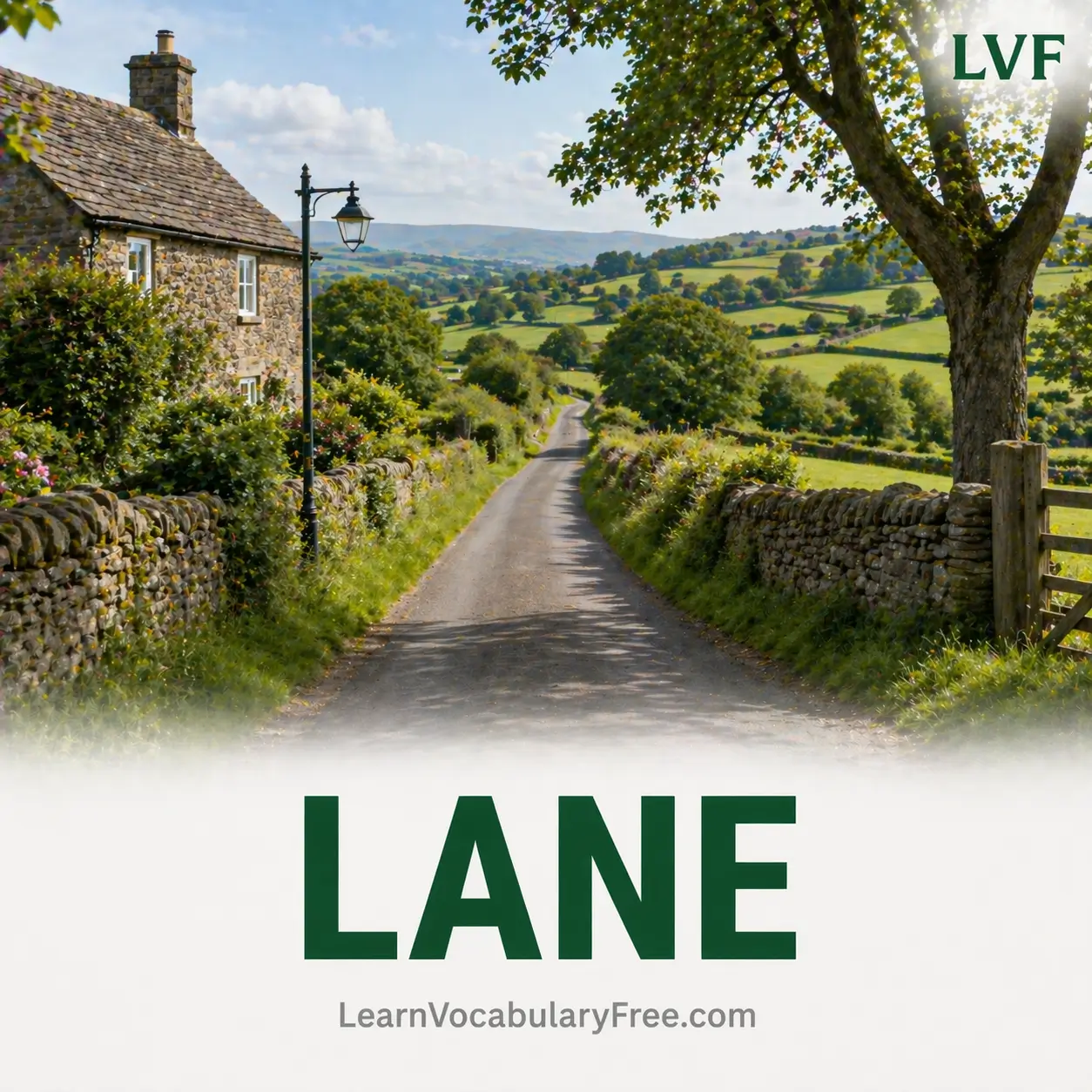 Narrow countryside lane road showing direction and place vocabulary for English learning