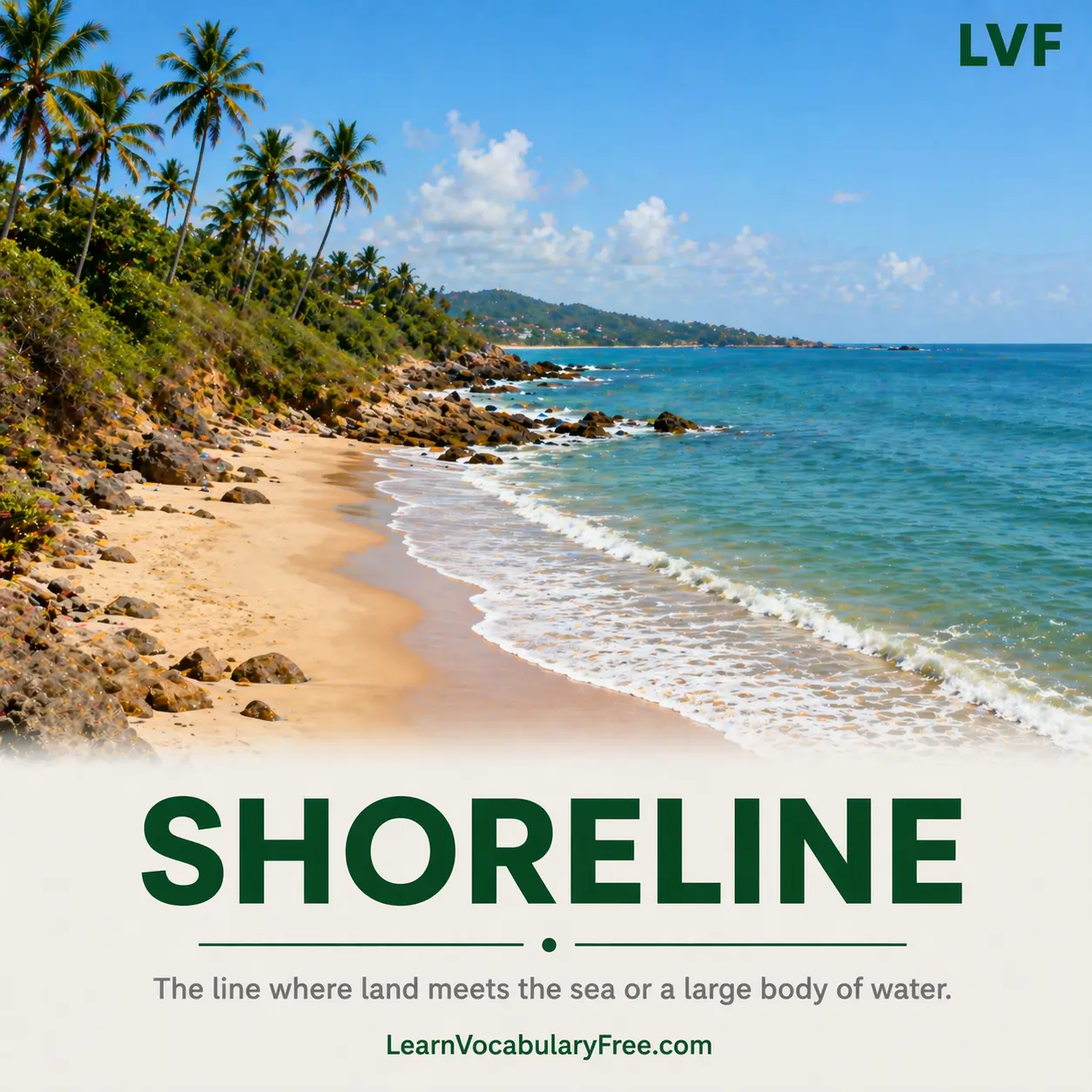Shoreline where land meets water showing coastline and geography vocabulary for English learners