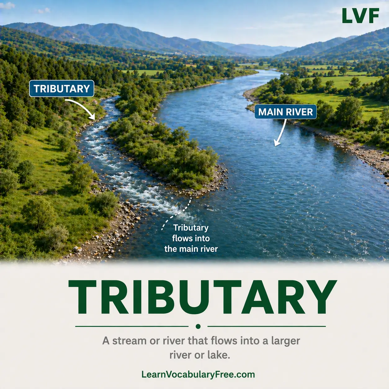 Small tributary river flowing into larger river showing geography vocabulary for English learners