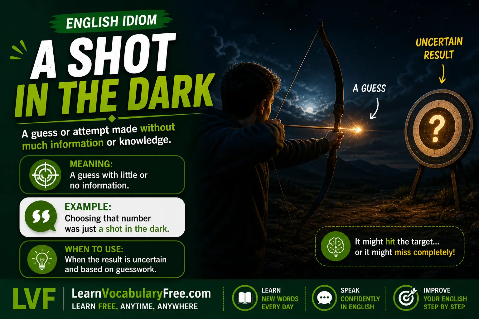 A Shot in the Dark idiom meaning visual - a guess made without enough information